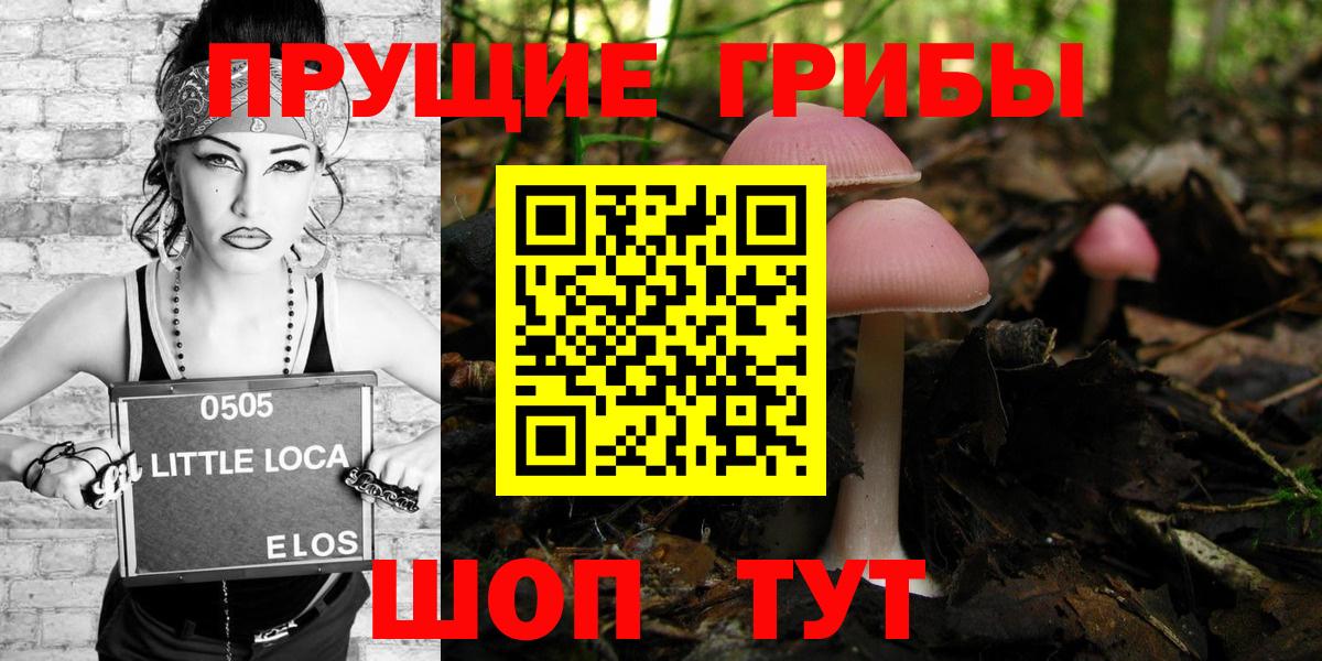 Галлюциногенные грибы Psilocybe  Вход с VPN  Волгоград 