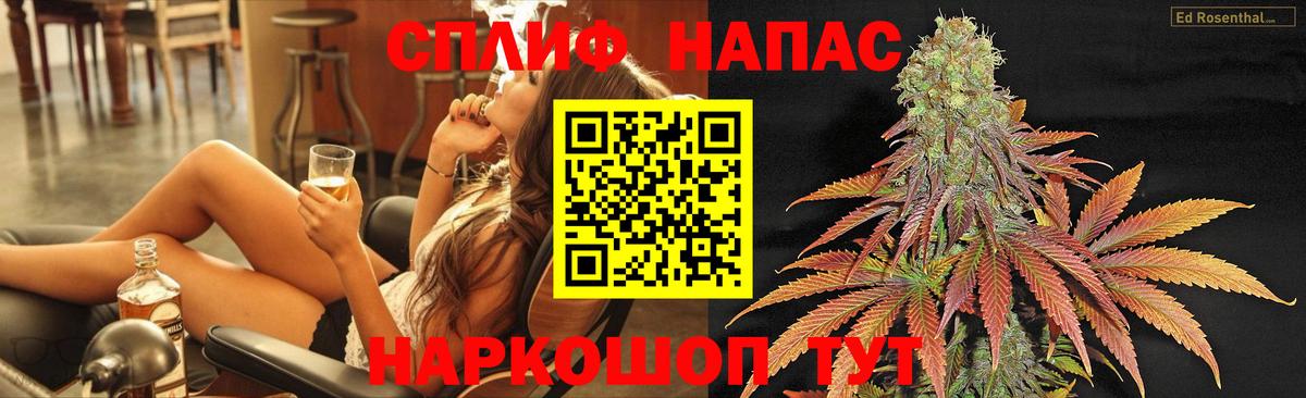 Конопля гибрид Волгоград